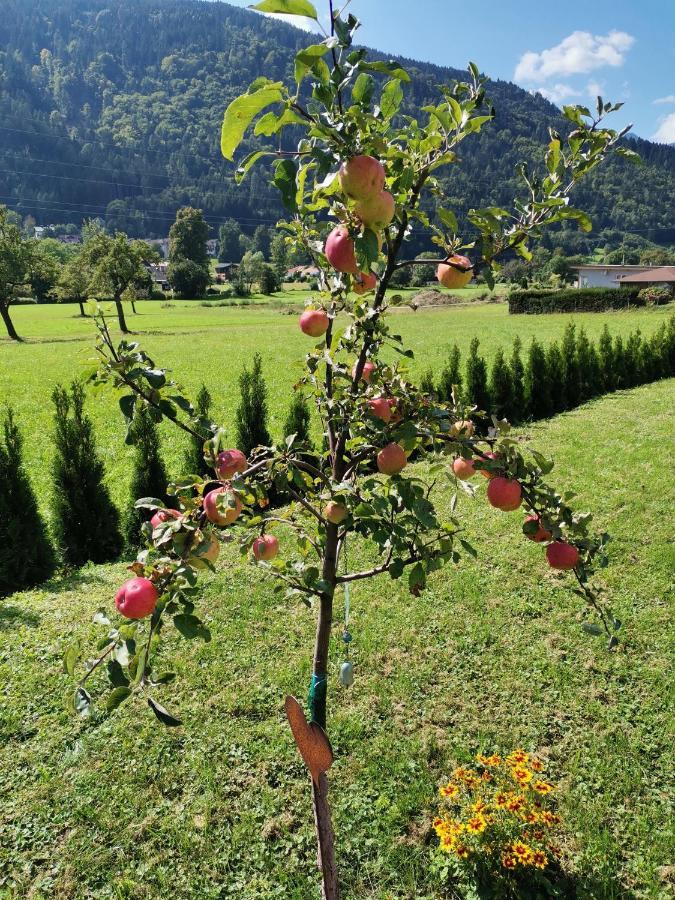 Apartment - Ferienwohnung 1 Treffen Am Ossiachersee المظهر الخارجي الصورة